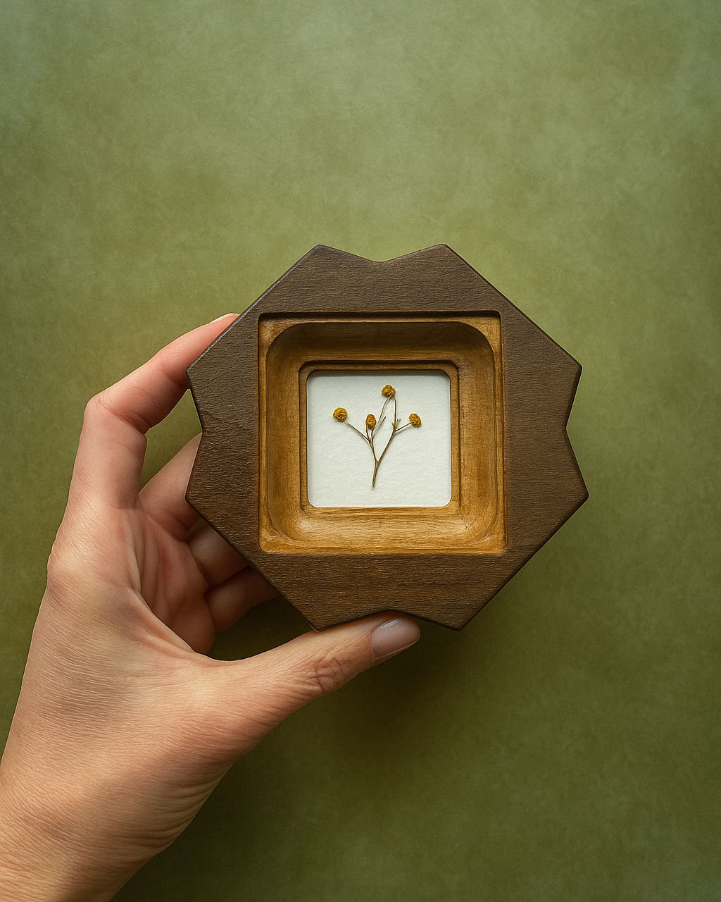 Hand holding a wooden frame with a small square piece of paper featuring a plant specimen against a green background